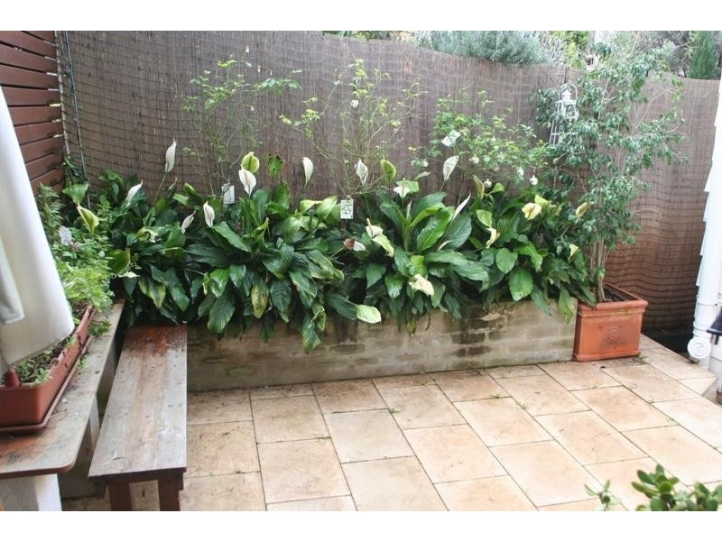 66 Short Street, Birchgrove NSW 2041