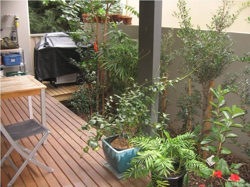 2/5 Croydon Street, Petersham NSW 2049