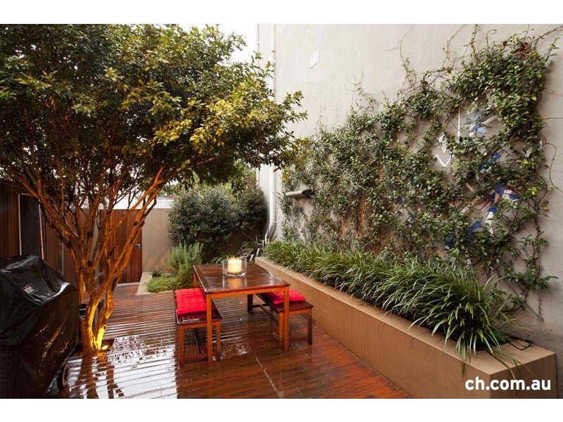 556 Darling Street, Rozelle NSW 2039