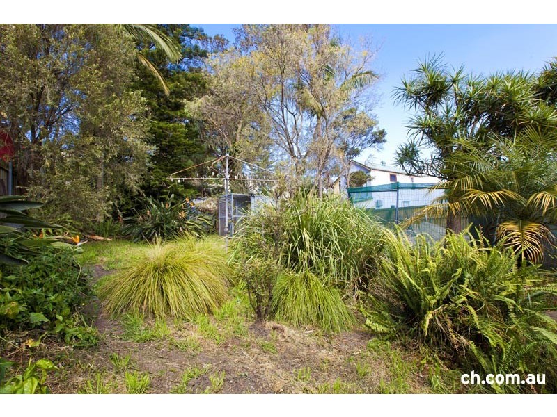 6 Moodie Street, Rozelle NSW 2039