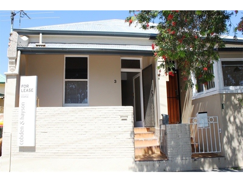 3 Wisbeach Street, Balmain NSW 2041