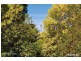 130 Evans Street, Rozelle NSW 2039