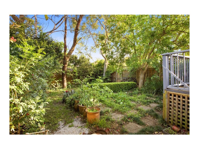 19 Burt Street, Rozelle NSW 2039