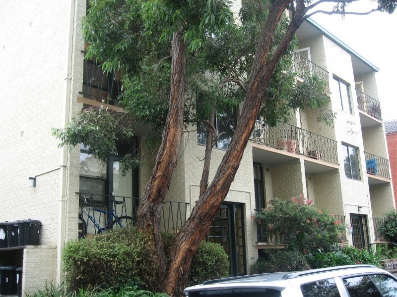 10/1A  Thomas Street, Balmain NSW 2041
