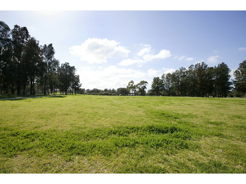 5 Bamboo Avenue, Earlwood NSW 2206