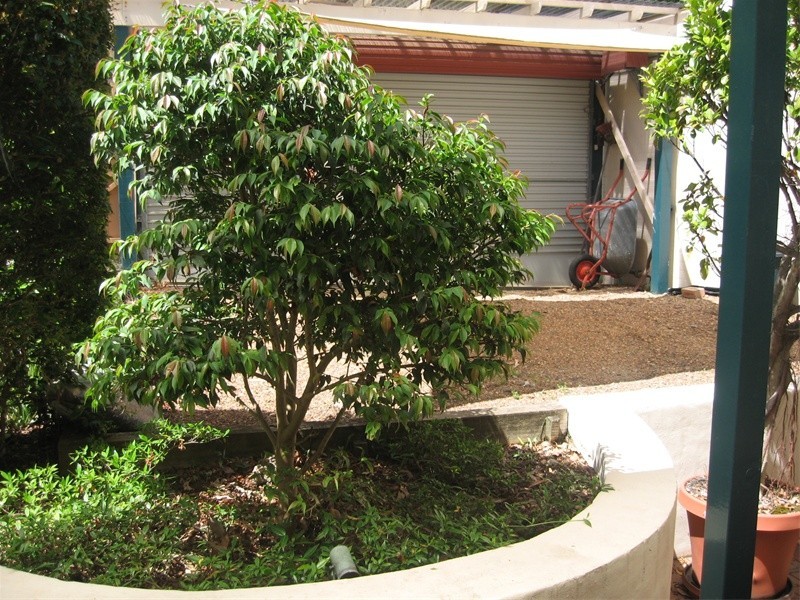 2/3  Hart Street, Balmain East NSW 2041