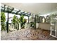 50 Andreas Street, Petersham NSW 2049