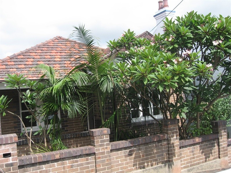 20  Oxford Street, Rozelle NSW 2039