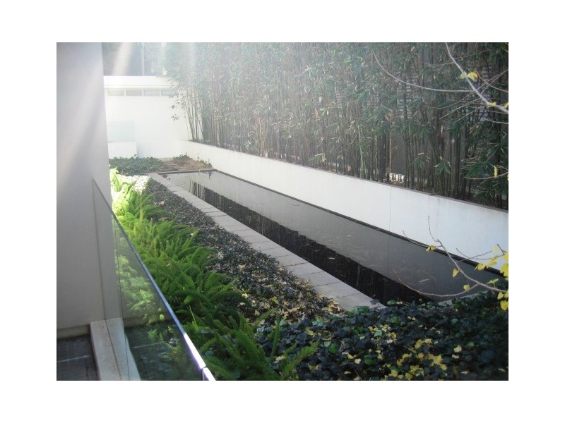 209/138  Barcom Ave, Darlinghurst NSW 2010