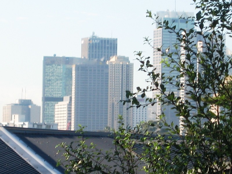 149  Rowntree Street, Birchgrove NSW 2041