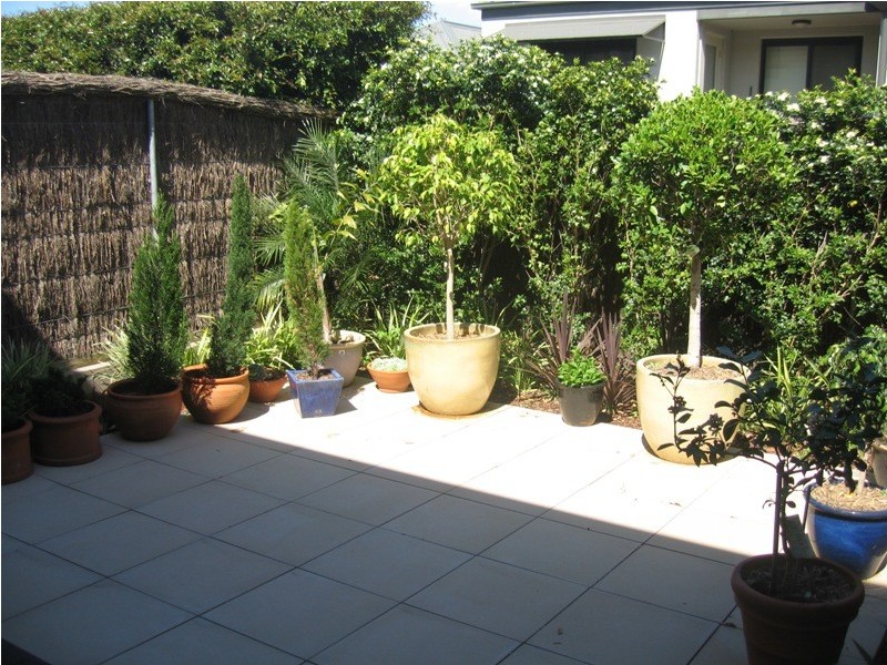 4/14-22  Alberto, Lilyfield NSW 2040