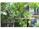 30  Darling Street, Balmain East NSW 2041