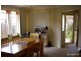 6  Spring Street, Concord NSW 2137