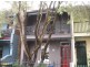 38 Merton Street, Rozelle NSW 2039