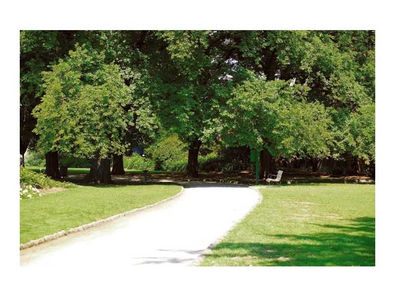 7  Spring Road, Malvern VIC 3144