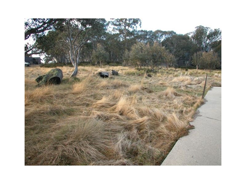 Lot 3  Brumby Lane, Dinner Plain VIC 3898