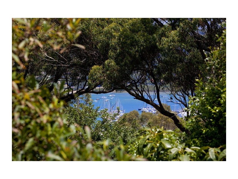 34 Wallumatta Road, Newport NSW 2106