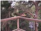 3B Elgata Close, Avalon NSW 2107