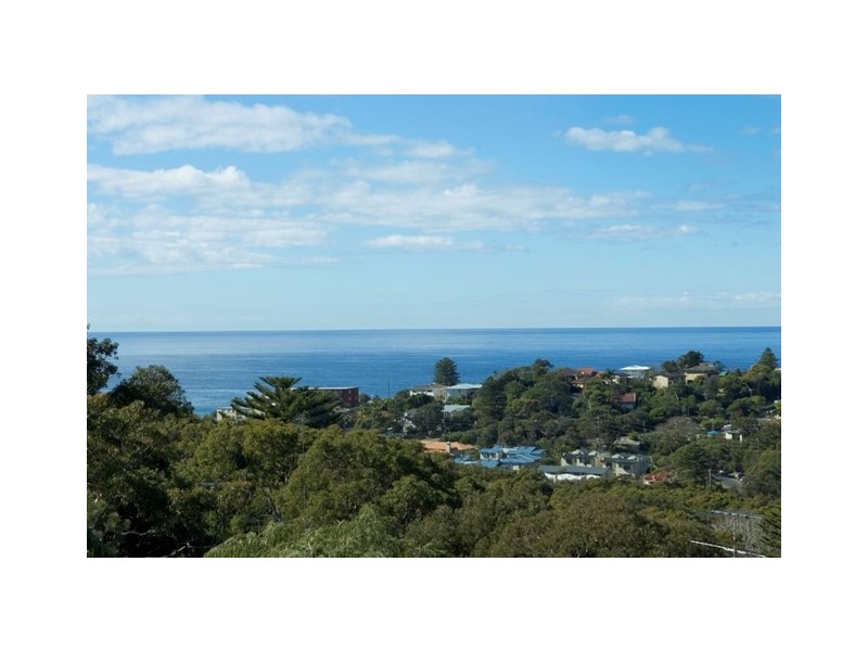 42 Palmgrove Road, Avalon NSW 2107