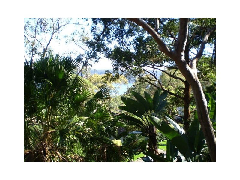 77 Hilltop Road, Avalon NSW 2107