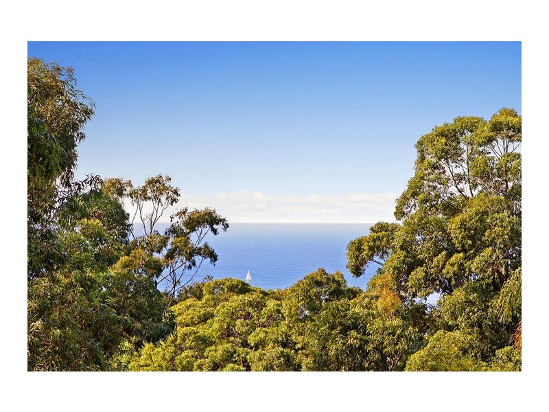 151 Grandview Drive, Bilgola Plateau NSW 2107