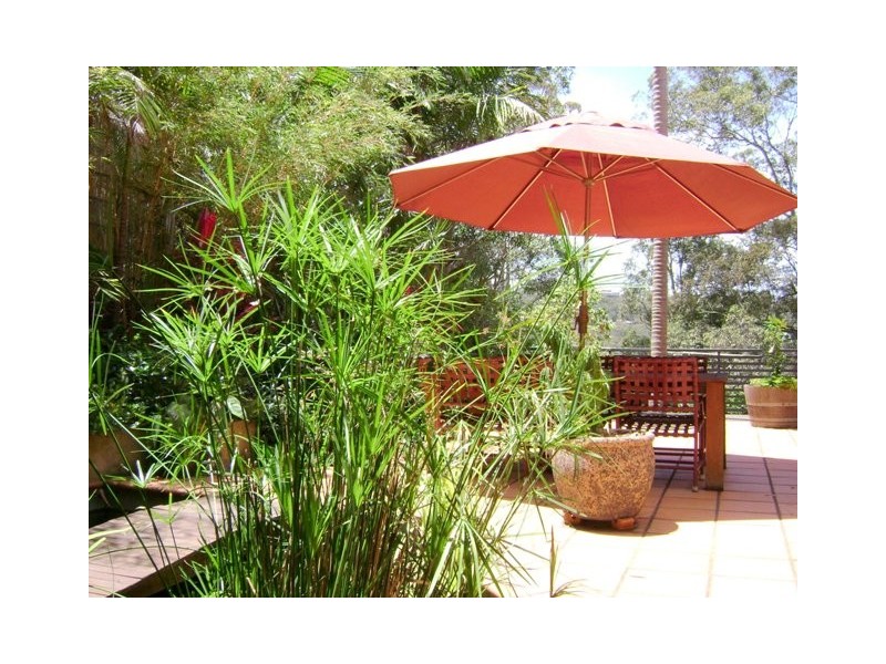 75 Patrick Street, Avalon NSW 2107