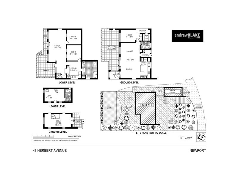 48 Herbert Avenue, Newport NSW 2106