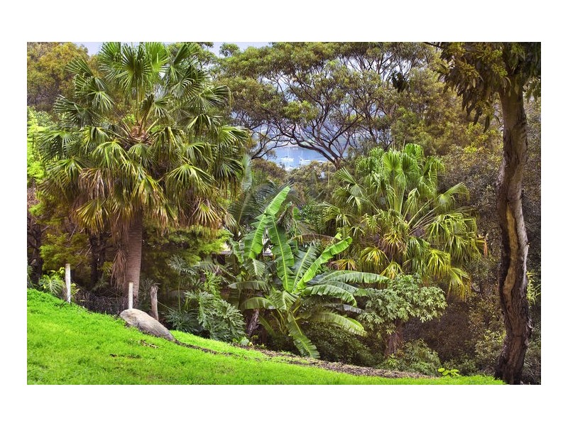 114 Wallumatta Road, Newport NSW 2106