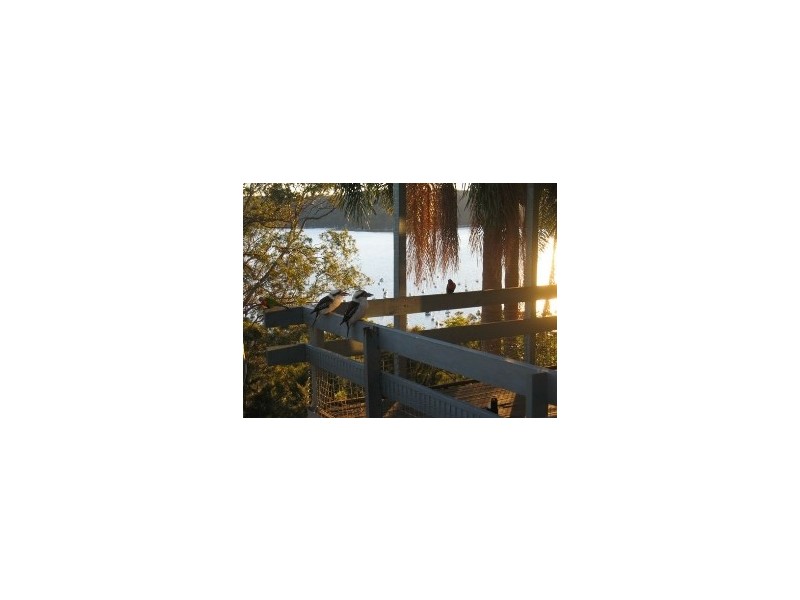 upper 76 Chisholm Avenue Clareville/, Avalon NSW 2107