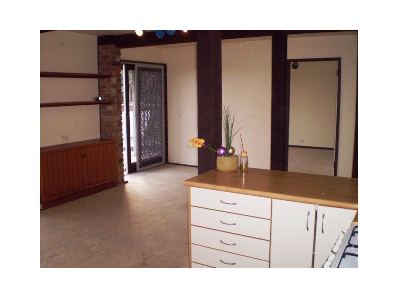 Lower 11 Yarrabee Place, Bilgola Plateau NSW 2107