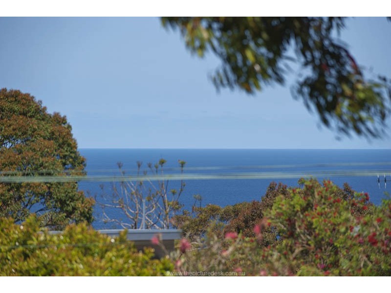 86 Plateau Road, Bilgola NSW 2107