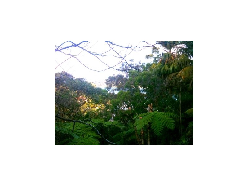 910a Barrenjoey Road Palm Beach/, Avalon NSW 2107