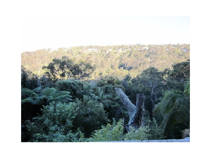 lower 65 Chisholm Avenue, Avalon NSW 2107