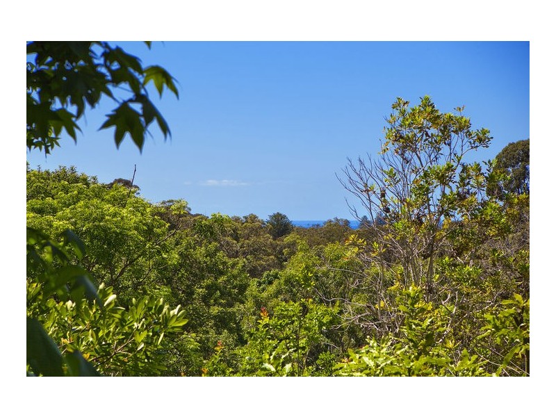 167 Avalon Parade, Avalon NSW 2107