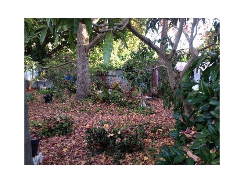 45 William Street, Avalon NSW 2107