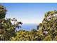 151 Grandview Drive, Newport NSW 2106
