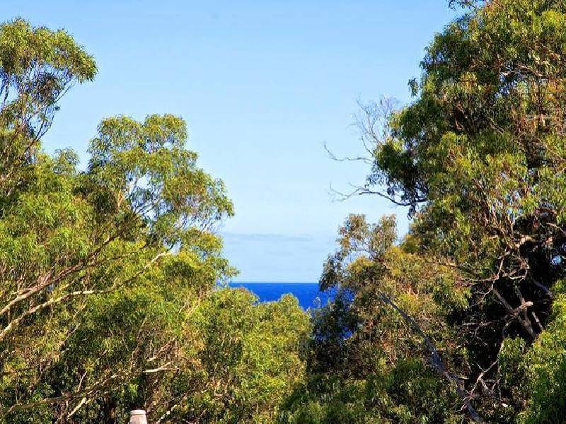 45 Kevin Avenue, Avalon NSW 2107