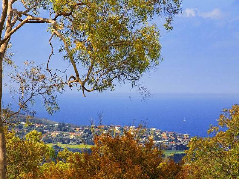 97a  Elanora Road, Elanora Heights NSW 2101