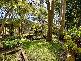 37 McCarrs Creek Road, Church Point NSW 2105