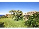 20 Watkins Road, Avalon NSW 2107