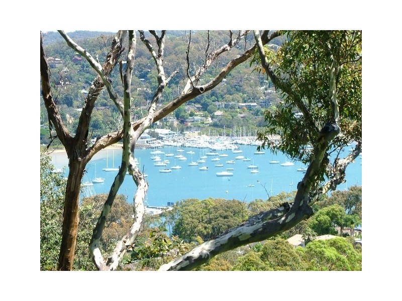 77  Cheryl Crescent, Newport NSW 2106