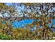 64  Trappers Way Clareville, Avalon NSW 2107