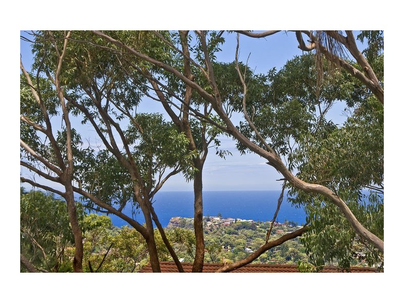 45 Raymond Rd, Bilgola NSW 2107