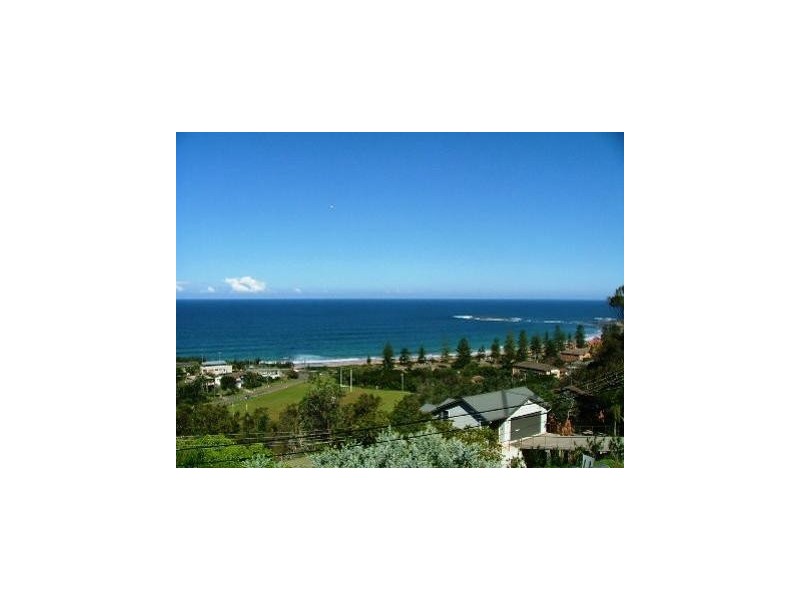 67 Hillside Road, Newport NSW 2106