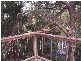 3B Elgata Close, Avalon NSW 2107