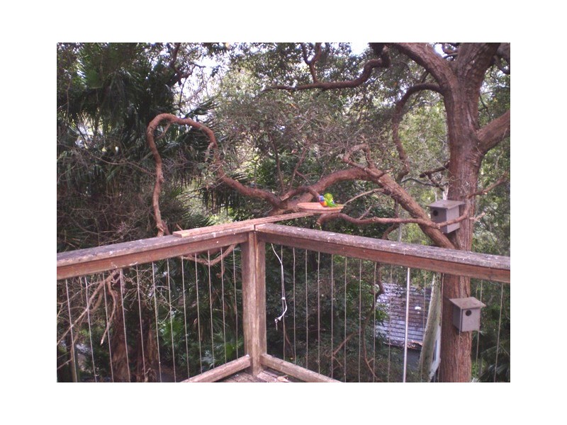 3B Elgata Close, Avalon NSW 2107