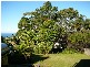 113  Plateau Road, Bilgola Plateau NSW 2107