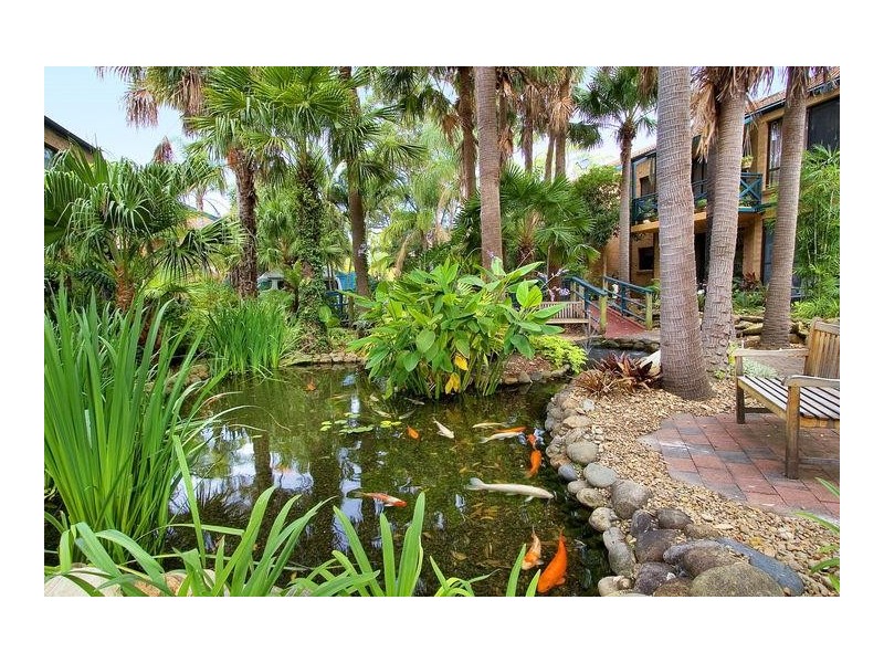 56/82 Avalon Parade, Avalon NSW 2107