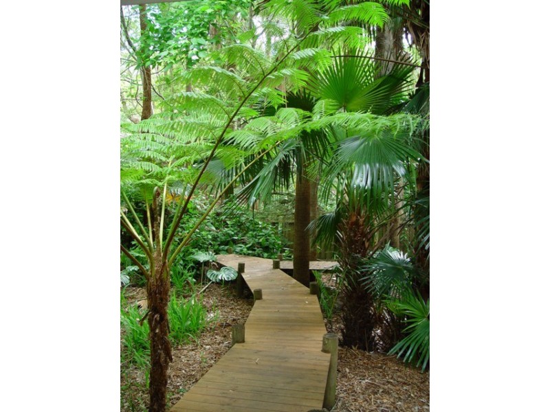 36  Ruskin Rowe, Avalon NSW 2107