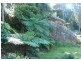Bayview NSW 2104